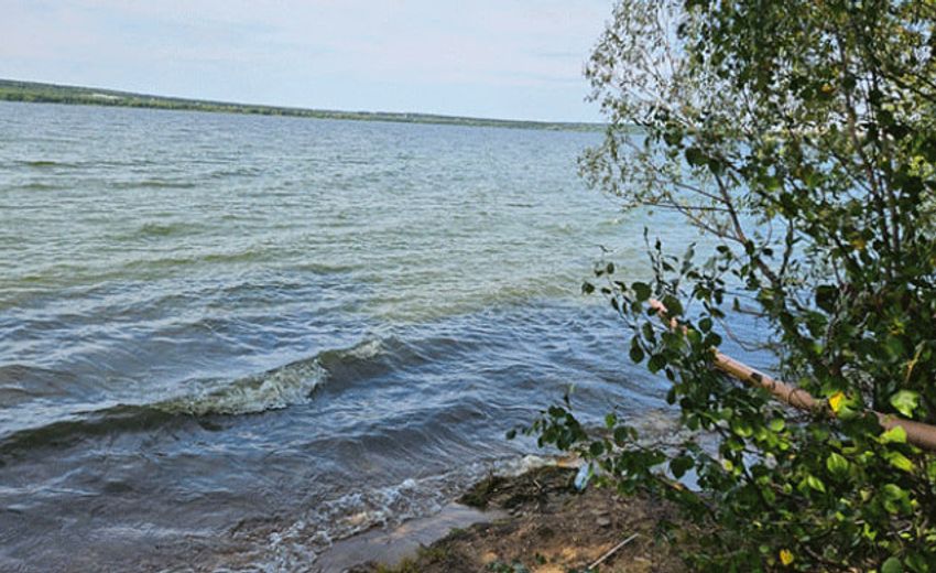 В водохранилище возле Челябинска выпустили более 200 тысяч мальков сазана