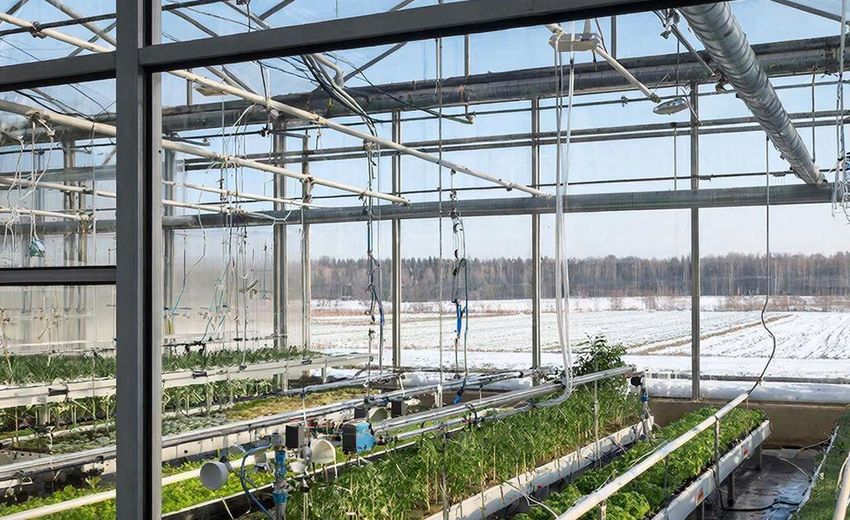 На сельскохозяйственных предприятиях будут установлены газопоршневые электростанции