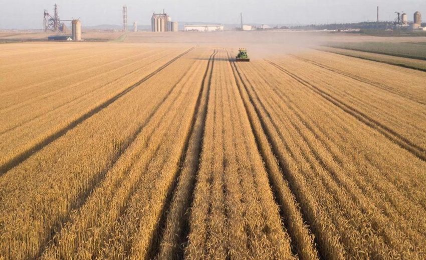 В Татарстане произвели сельхоз продуктов на 339 млрд рублей за 10 месяцев 2025 года