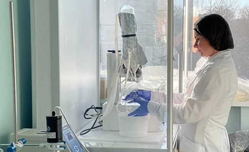 В 2025 году 40 компаний Дона получили господдержку на создание брендов