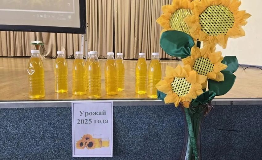 В Усть-Лабинском районе Кубани прошел чемпионат «Сеем будущее»