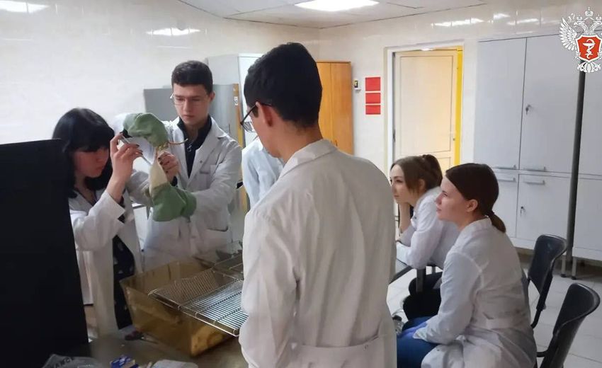 Российские ученые разрабатывают новый препарат для нормализации работы печени