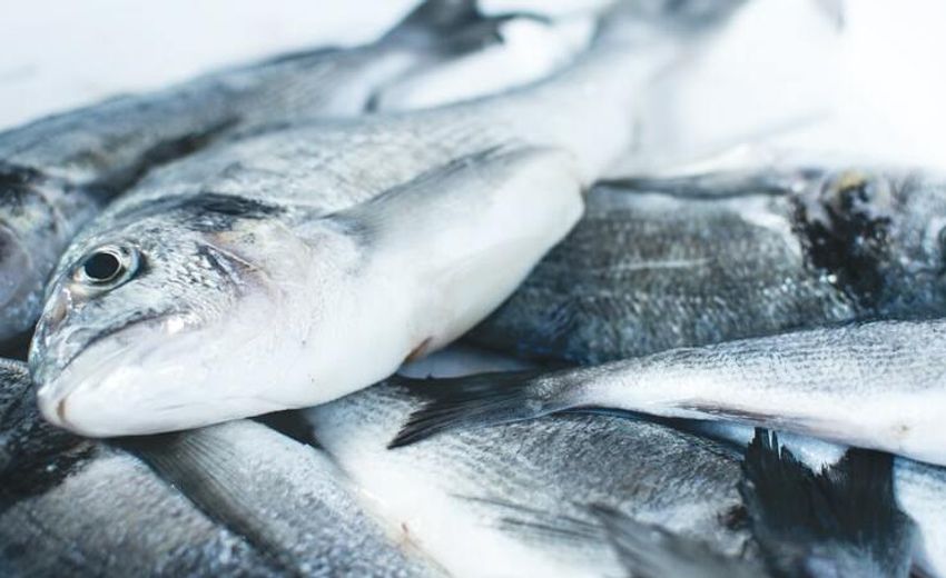 Les exportations de poissons et de fruits de mer de la Russie ont augmenté de 20 % en janvier
