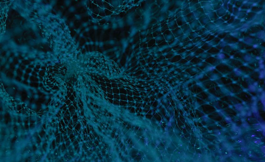Нейросеть Vika расскажет представителям IT-компаний ХМАО о мерах поддержки 