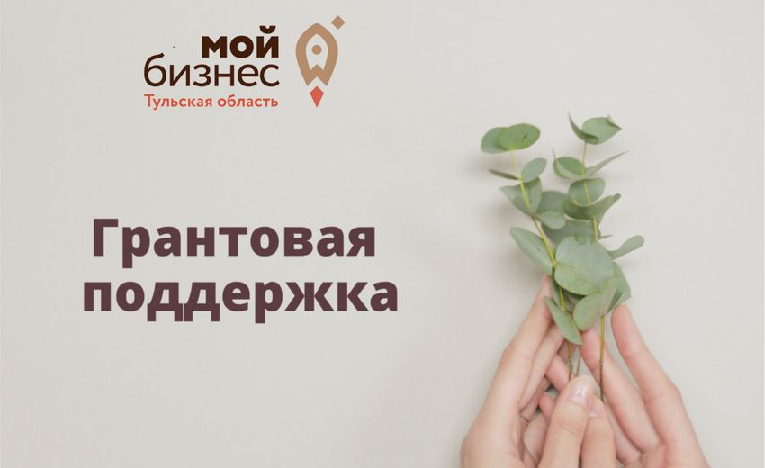 Социальным и молодым предпринимателям в Тульской области выдадут гранты