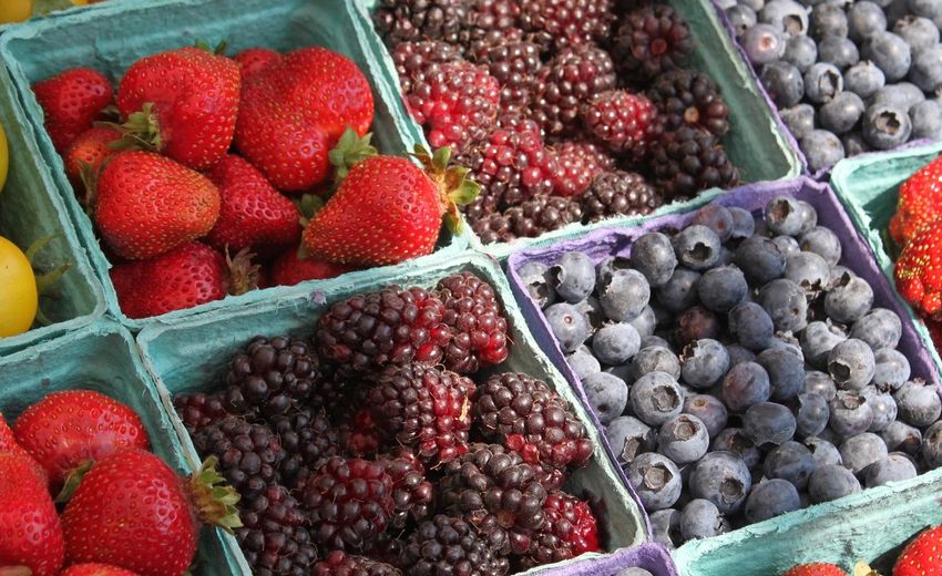 Торговая сеть в Крыму готова бесплатно раскручивать продукты местных аграриев