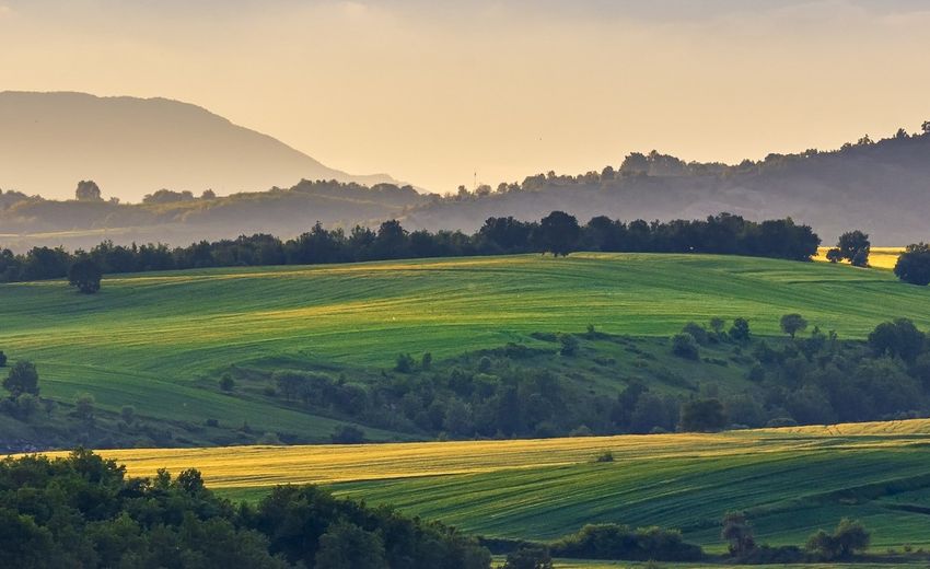 Un impianto avanzato di lavorazione del grano da 30 miliardi di rubli sarà aperto nel territorio di Krasnoyarsk