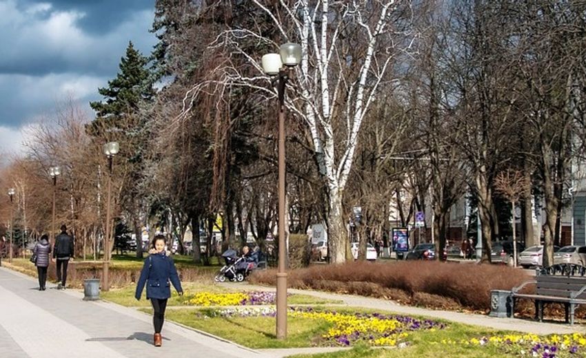 Около 55 млн евро вложили немецкие инвесторы в экономику Кубани за последние 5 лет