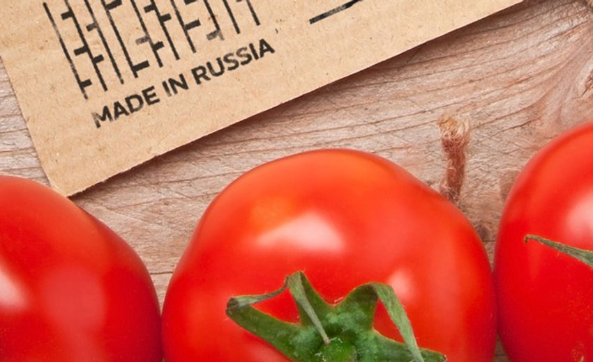 Ставропольском крае уже собрали 33,5 тысячи тонн овощей