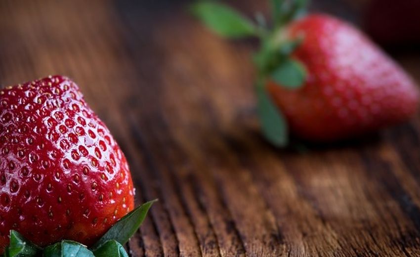 La production de baies et de fruits en Russie a augmenté de 22 % par rapport à l'année précédente.