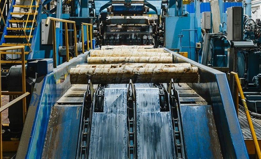 Производитель березовой фанеры «Свеза» увеличил продажи на 7%