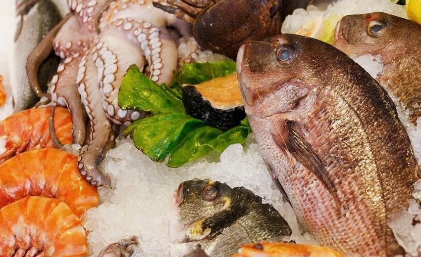 Россия надеется возобновить экспорт морепродуктов в Китай