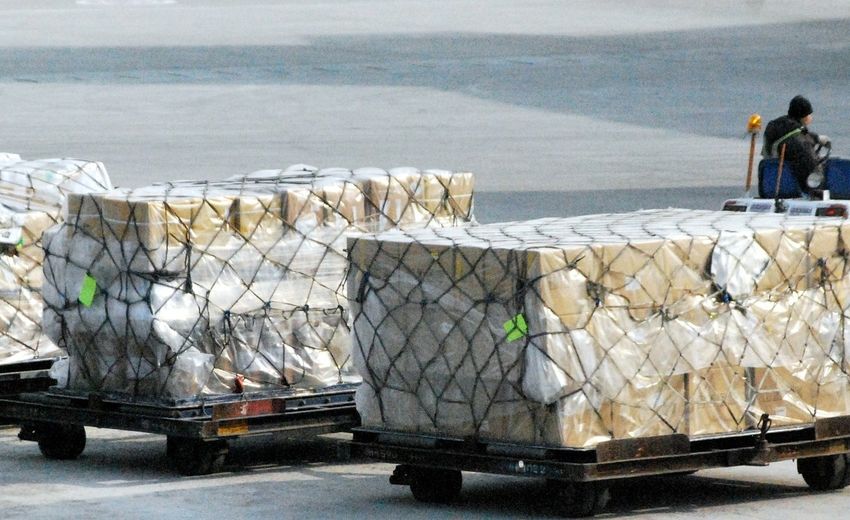 Объем экспорта товаров АПК из СЗФО составил 4,5 млрд долларов
